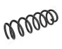 Фото BMW пружина задня X3 JAPANPARTS (ZC7067A) зображення 1