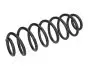 Фото FORD пружина задня B-Max 12 JAPANPARTS (ZC7135A) зображення 1