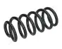 Фото Пружина задн. RENAULT CLIO 12 JAPANPARTS (ZC7148A) зображення 1
