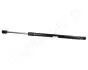 Фото FORD амортизатор багажника газовий Focus 00 JAPANPARTS (ZS03013) зображення 1
