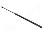 Фото Газовий амортизатор капота OPEL INSIGNIA JAPANPARTS (ZS04036) зображення 1