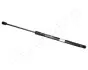 Газовий амортизатор RENAULT R 19 II JAPANPARTS (ZS07008) зображення 1