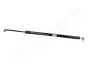 Фото HONDA амортизатор багажника CR-V 95 JAPANPARTS (ZS40010) зображення 1