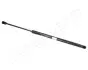 Фото KIA амортизатор газовий багажн..Sorento 02 JAPANPARTS (ZSK0007) зображення 1