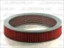 Повітряний фільтр B21005PR