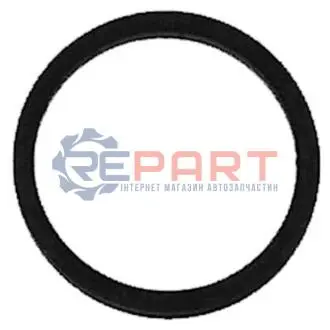 Кiльце ущiльнююче форсунки JP GROUP 1115550900 Купити в Україні