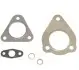 Комплект прокладок турбіни VW Passat 1.9 TDI 96-97 1117752510
