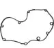 Прокладка кришки клапанів VW Golf VI 2.0 TDI 05-13 1119204600
