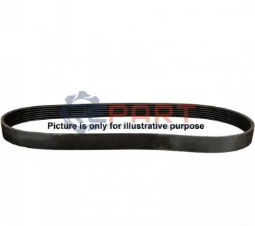 Ремінь генератора Citroen Jumper/Peugeot Boxer 2.5TD 94-02 JP GROUP 4118101100 Купити в Україні