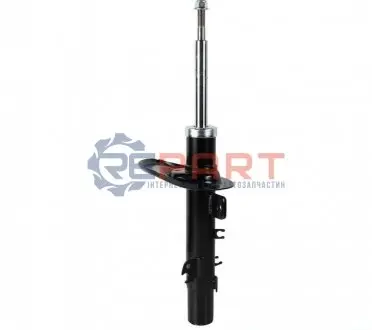 Фото Амортизатор газовий ZN JP GROUP (4142102270) зображення 1