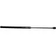 Фото Газовий амортизатор RENAULT SAFRANE -00 JP GROUP (4381202700) зображення 1
