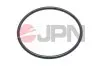 Прокладка топливного насоса JPN (20M0007JPN) изображение 1