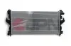 Радіатор охолодження двигуна JPN (60C9019JPN) зображення 2