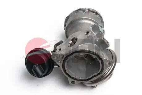 Клапан EGR JPN 75E9379JPN