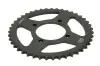 Зірочки для ланцюга, задні JT SPROCKETS (JTR83843) зображення 1