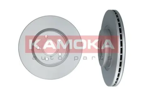 Диск гальмівний (передній) Ford C-Max/Kuga 07-/Focus 04-/Connect 13-/Volvo (300x25) (з покр) (вент) KAMOKA 1031016 Купити в Україні