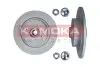 Диск гальмівний (задній) Renault Scenic II 03- (274x11) (+ABS) (з підшипником) KAMOKA (1031025) зображення 1