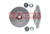 Фото Диск гальмівний (задній) Citroen C3/C4 /Peugeot 207/307 05- (249х9) (+ABS) KAMOKA (1031132) зображення 1