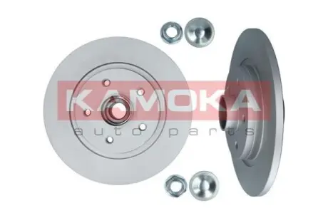 Тормозные диски с подшипником крашеные RENAULT KANGOO 08- KAMOKA 1031138 Купить в Украине
