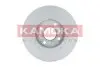Диск гальмівний (передній) Renault Logan 04- (259x12) KAMOKA (103117) зображення 2
