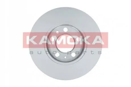 Диск гальмівний (передній) Skoda Fabia/Octavia 96-/Roomster 06-/VW Golf 97-06 (256x22) KAMOKA 1031854 Купити в Україні
