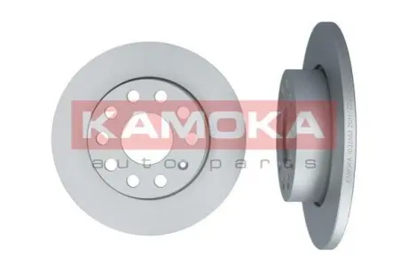 Диск гальмівний (задній) Audi A3/Skoda Octavia/VW Caddy/Golf/Touran 03-15 (256х12) (з покр) (повний) KAMOKA 1032552