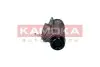 Фото Циліндр гальмівний (задній) Fiat Scudo/Peugeot Expert 96 KAMOKA (1110026) зображення 2
