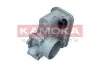 Дросельна заслінка KAMOKA (112050) зображення 1
