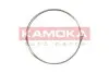 Гальмiвна трубка 2700mm KAMOKA (1173164) зображення 1