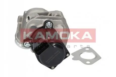 Клапан EGR Citroen Nemo/Ford Fiesta 1.3/1.4 HDi 02 KAMOKA 19029 Купити в Україні