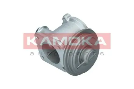 Клапан рециркуляцiї KAMOKA 19062 Купити в Україні