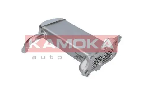 Автозапчасть KAMOKA 19C069