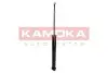 Фото Амортизатор газовый задний KAMOKA (2000749) изображение 4