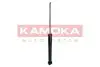 Фото Амортизатор задній KAMOKA (2000907) зображення 3
