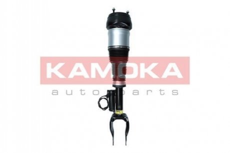 Автозапчастина KAMOKA 2070003