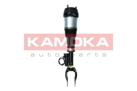 Амортизатор KAMOKA 2070003 Купити в Україні