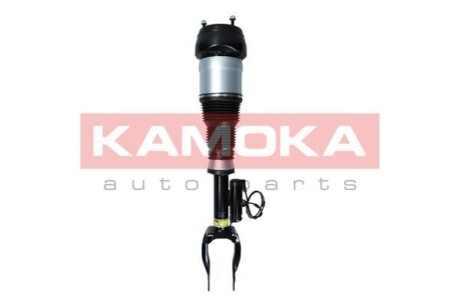 Автозапчасть KAMOKA 2070004