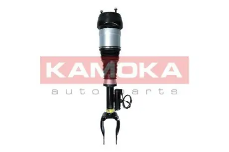Амортизатор KAMOKA 2070004 Купити в Україні