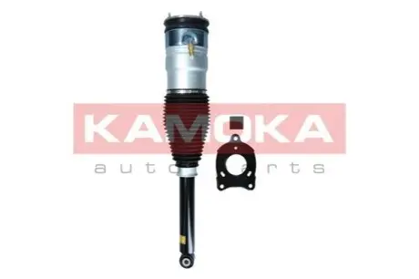Автозапчасть KAMOKA 2070006 Купить в Украине
