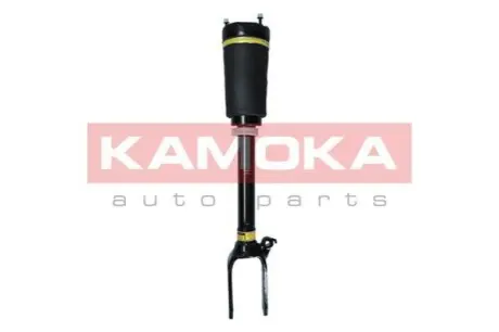 Автозапчасть KAMOKA 2070016