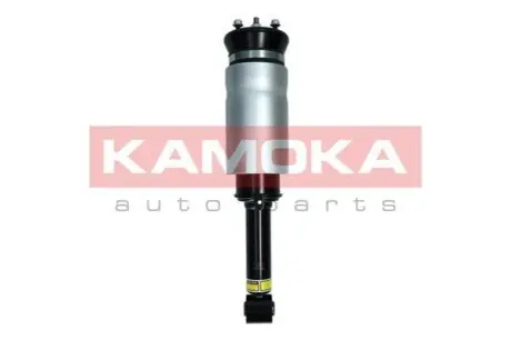 Амортизатор KAMOKA 2070019 Купити в Україні