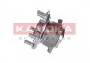Набір підшипника маточини колеса - KAMOKA 5500096 (42200TL0G51)