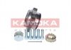Набір підшипника маточини колеса - KAMOKA 5500129 (1201300)