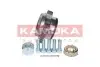 Фото Набор колесных подшипников ступицы. KAMOKA (5500129) изображение 1