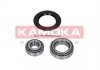 Комплект підшипника колеса - KAMOKA 5600005 (1603065, 1603193, 90005147)