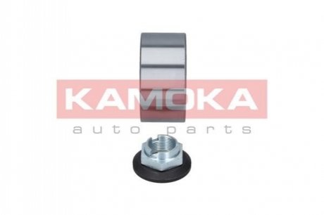 Набір підшипника ступиці колеса - (1133023) KAMOKA 5600018 (фото 1)
