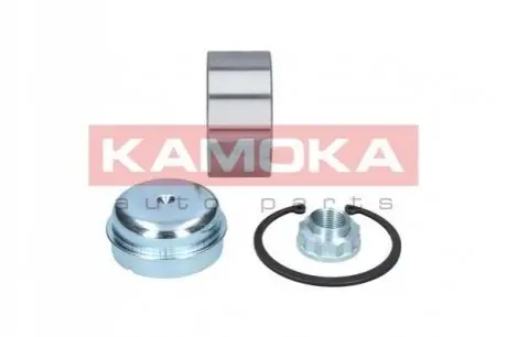 Подшипник ступицы KAMOKA 5600025