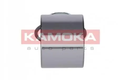 Підшипник маточини (задньої) Renault Kangoo 97-/Laguna 93-01/Nissan Kubistar 03- (25x55x43)(к-кт) KAMOKA 5600065 Купити в Україні