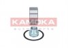 Комплект підшипника ступиці колеса - KAMOKA 5600085 (71714459, 71753062)