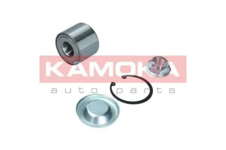 Підшипник маточини (задньої) Citroen C4/Peugeot 307 00- (25x60x45) (к-кт) KAMOKA 5600117 Купити в Україні